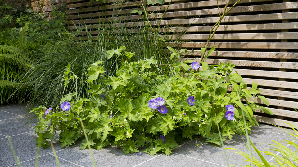 海德谷 约翰·戴维斯景观设计（这里假设Landscape结合语境是景观设计的意思，若有更准确的背景信息，可根据实际调整） -27