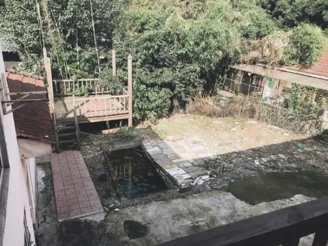把一个破烂小院，爆改成中国风的入云屋，凉亭、枫树、竹篱笆......-149