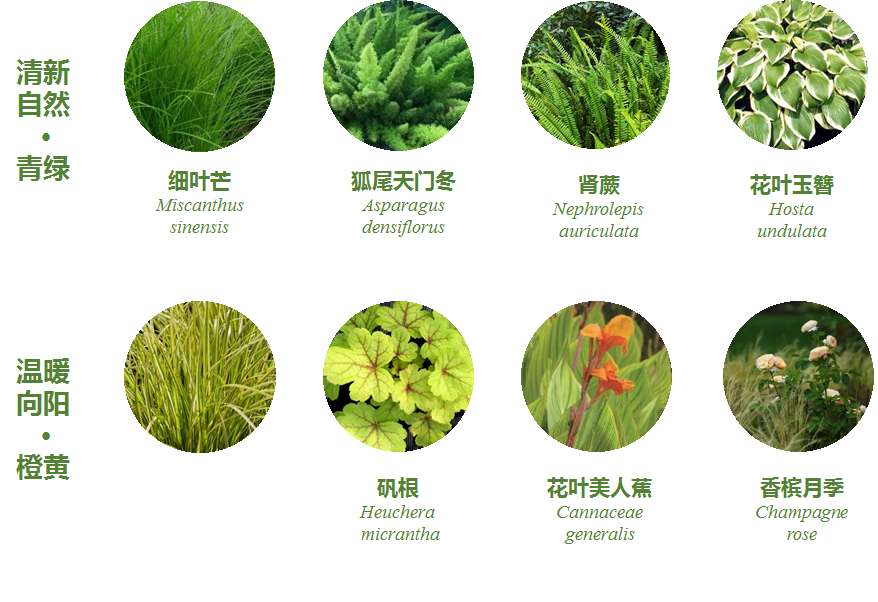 金地中心丨中国盐城丨LAURENT罗朗景观-83