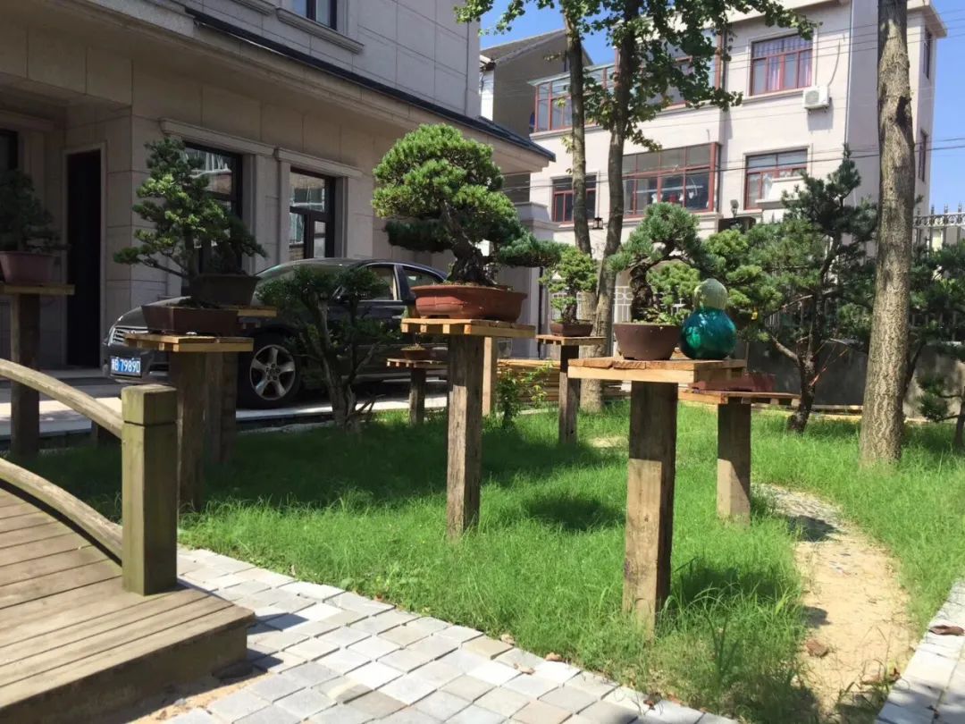 院落生活 | 诗与远方的完美结合-52