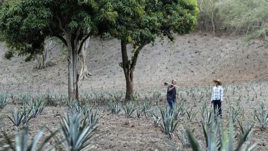 野花农场度假村丨美国纽约丨Auberge Resorts Collection-54