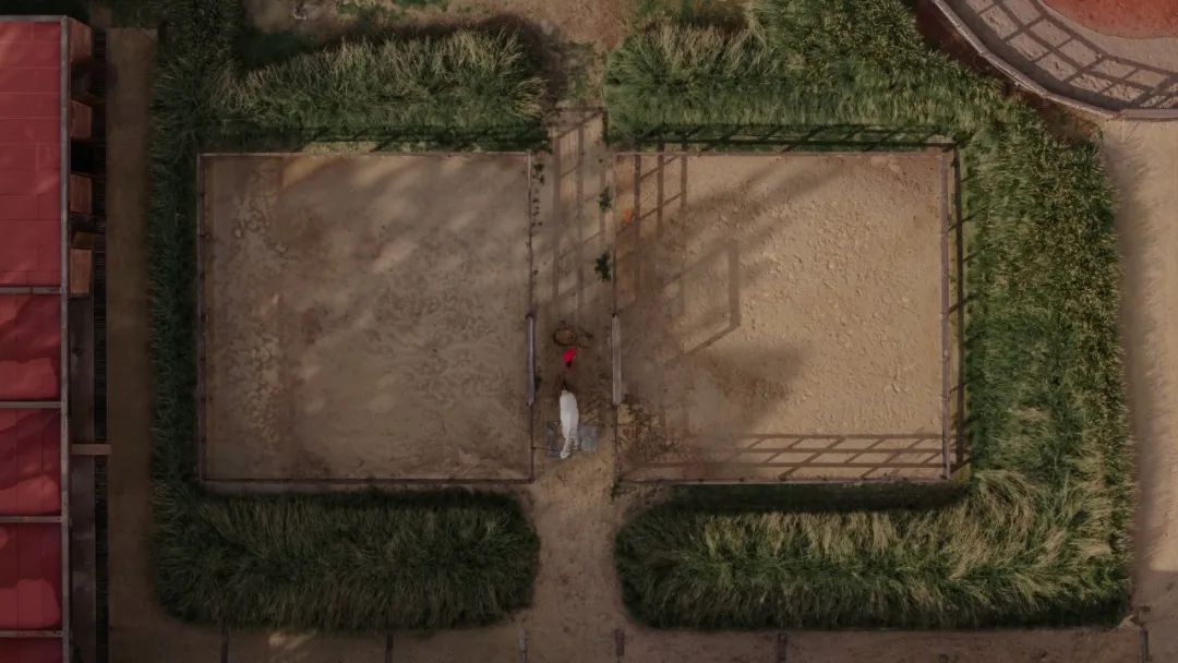 马术圣拉蒙丨墨西哥丨Módica Ledezma-11