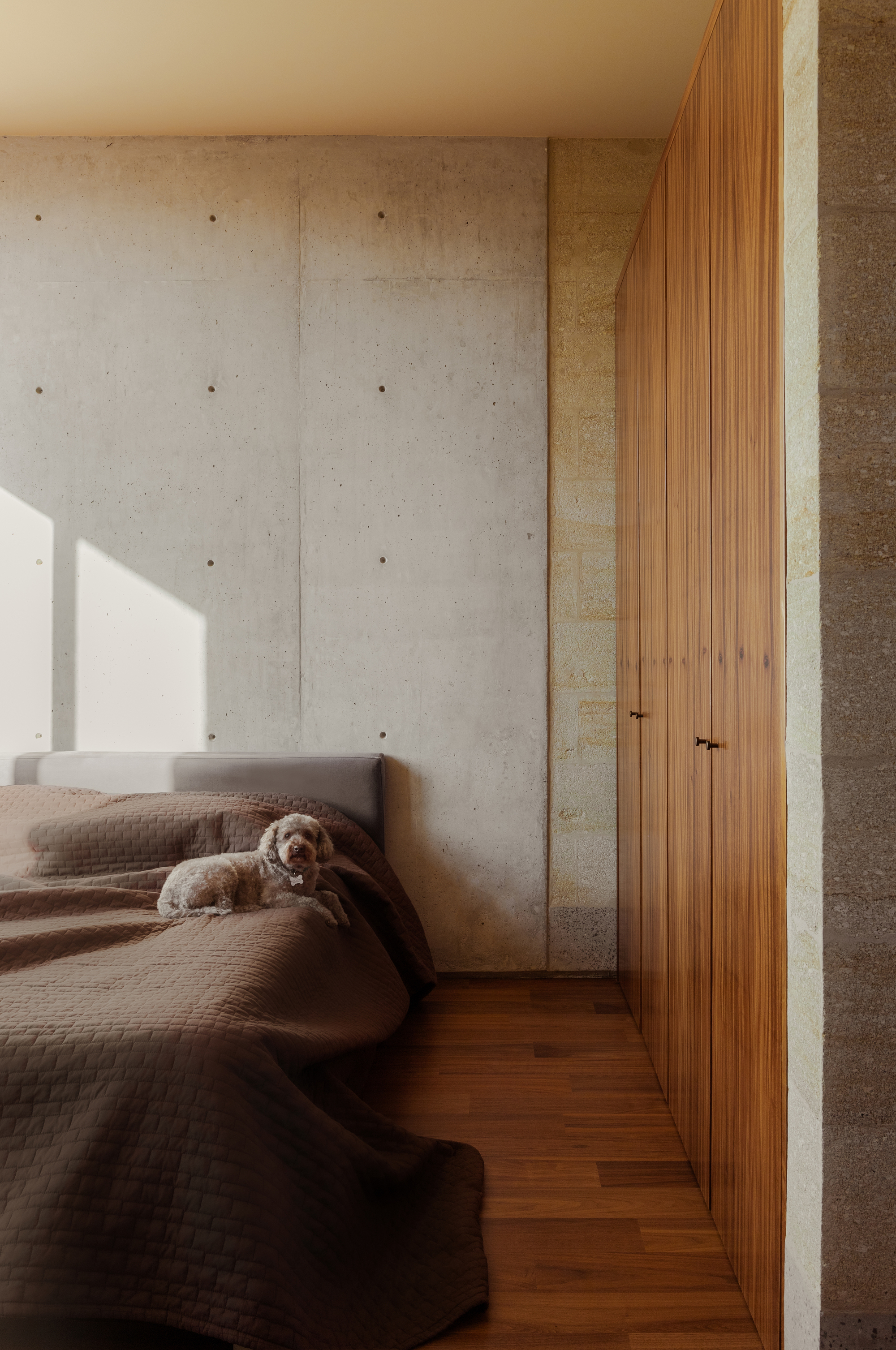 加莱亚纳·马拉瓦蒂奥之家丨墨西哥丨Cometrue | Jaime Miranda González-43