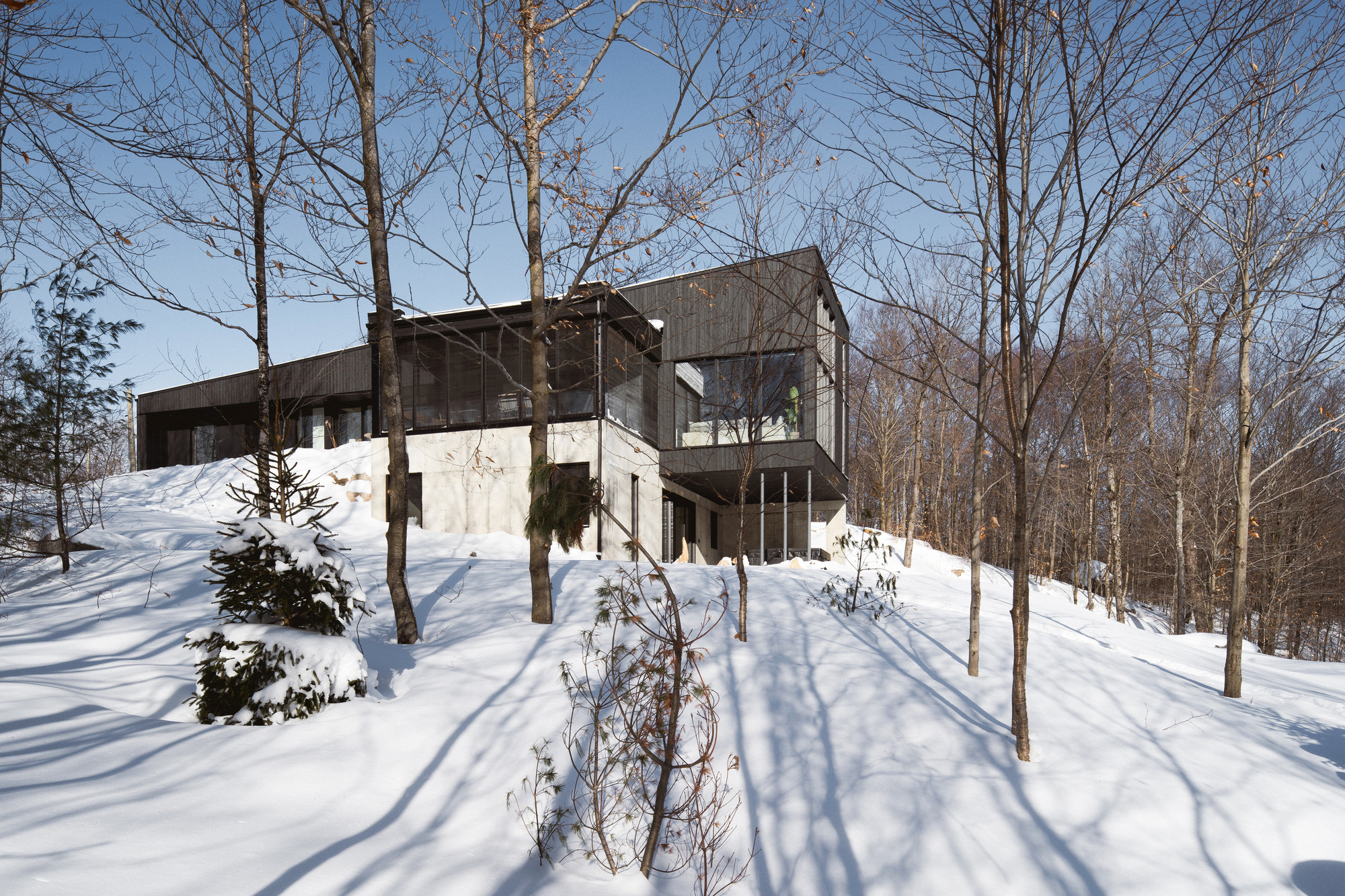 阿利泽公寓丨加拿大魁北克丨Atelier BOOMTOWN-30