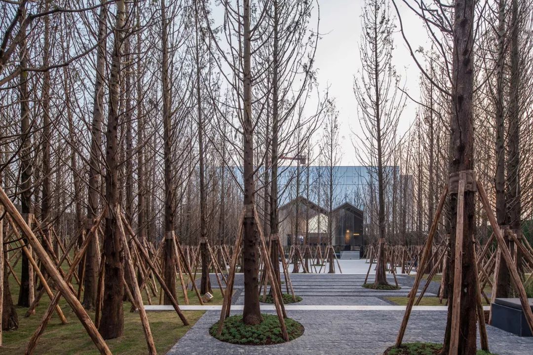 “重庆森林”  | 重庆万科森林公园-6