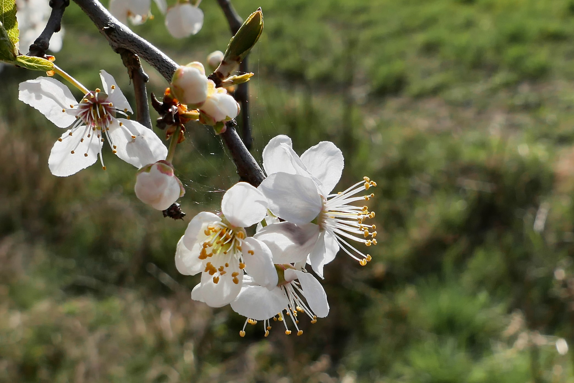 2026年复活节之旅-8