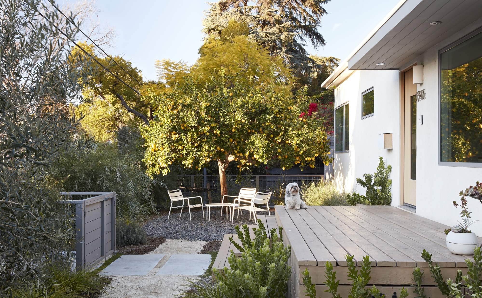 Silverlake Terrace Bungalow Renovation and Extension / ARA-la-24