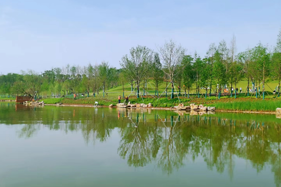 襄阳襄水岸线修复生态提升丨中国襄阳-5