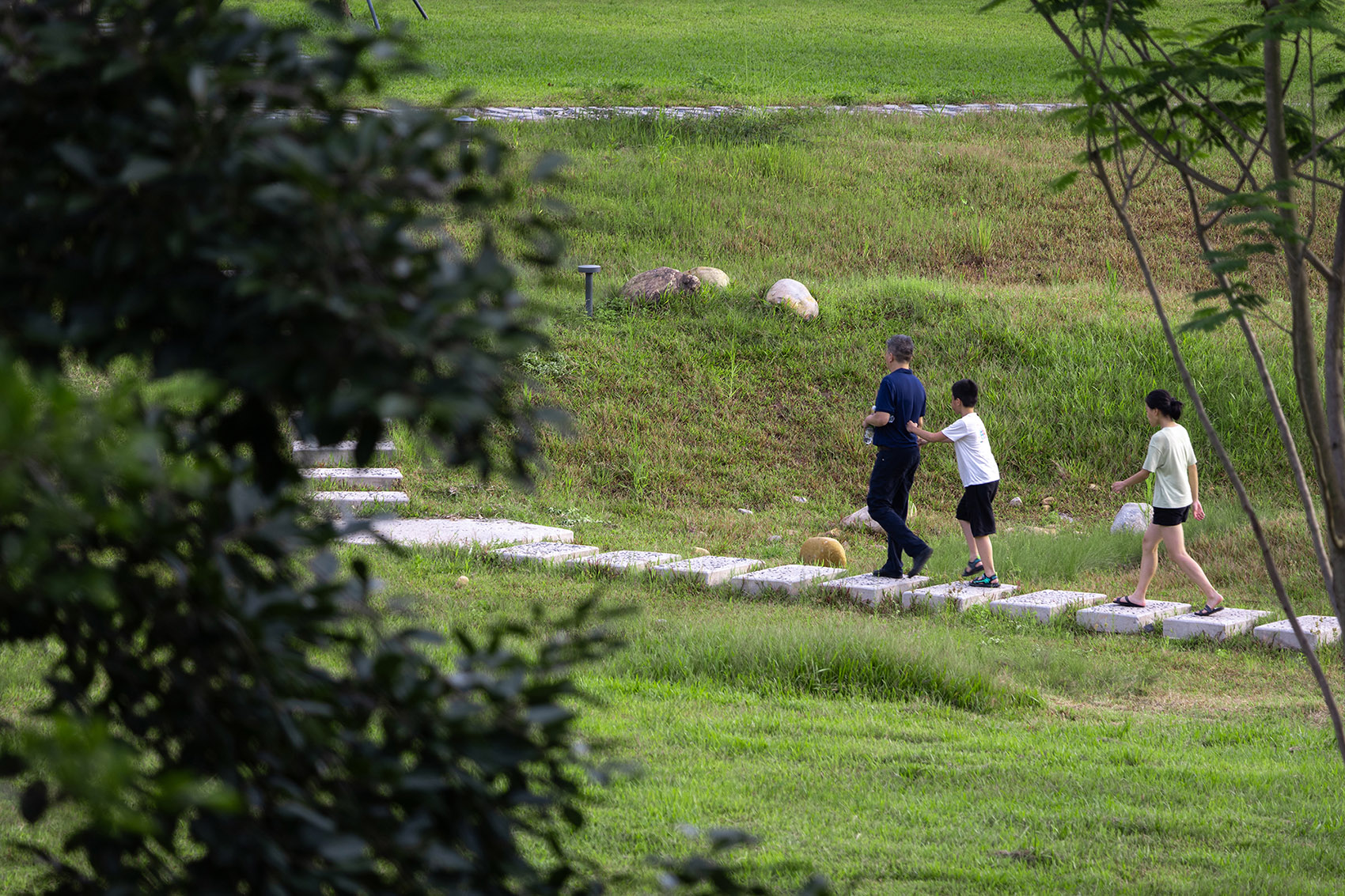 重焕生机的土地·深圳光明虹桥1958生态公园丨中国深圳丨自组空间-137