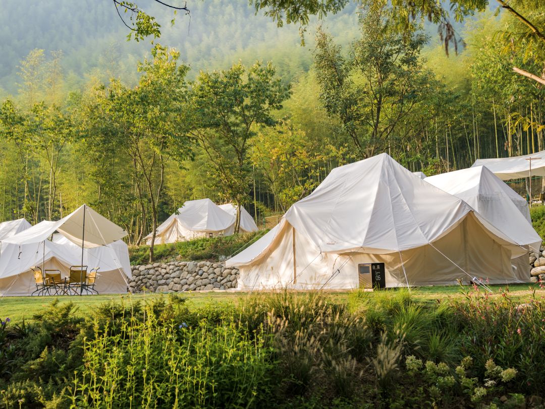 数一轮晨夕 折一朵明媚 | 安吉小杭坑营地-69