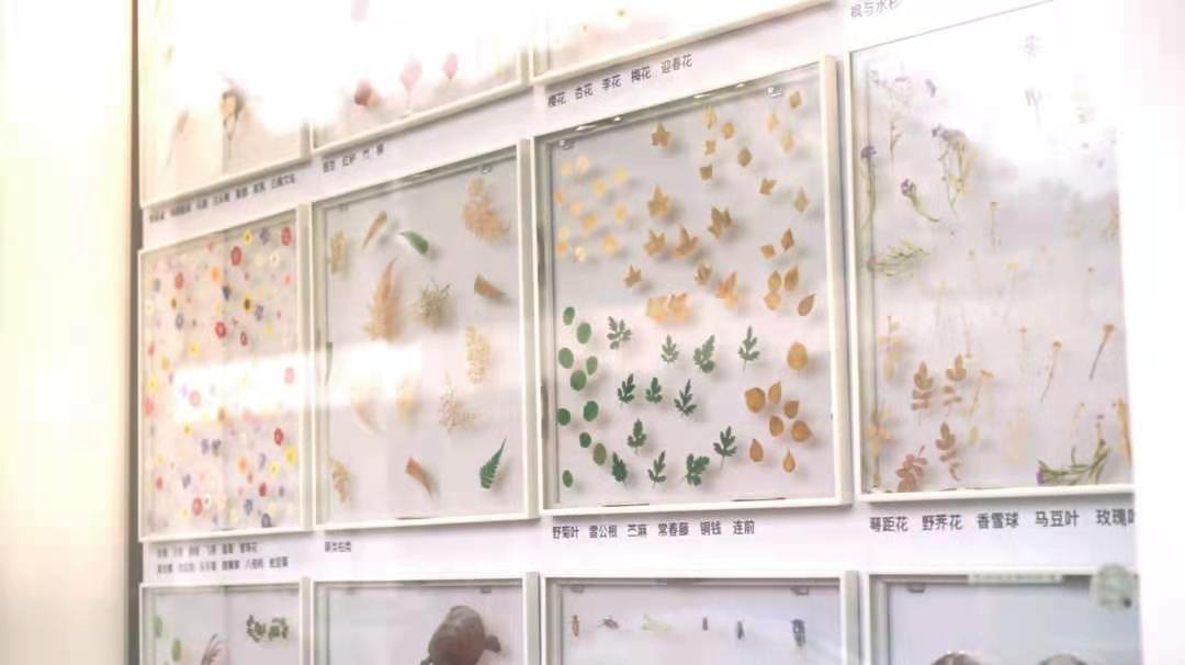 大鱼 X Local本地 | 飞机场边上的“社区遗产”-25