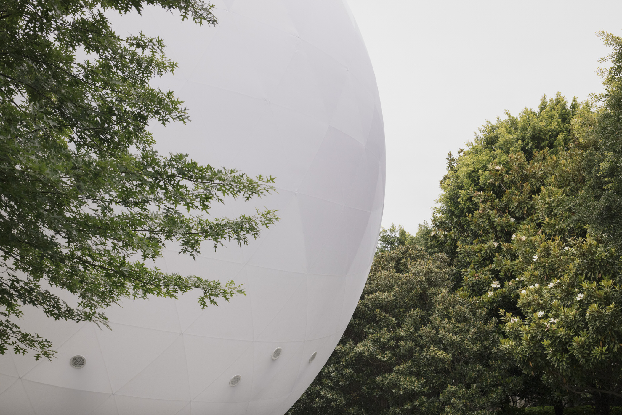 2023 NGV 建筑委员会:（这就是）空气丨澳大利亚墨尔本丨Nic Brunsdon 与 ENESS 合作-25