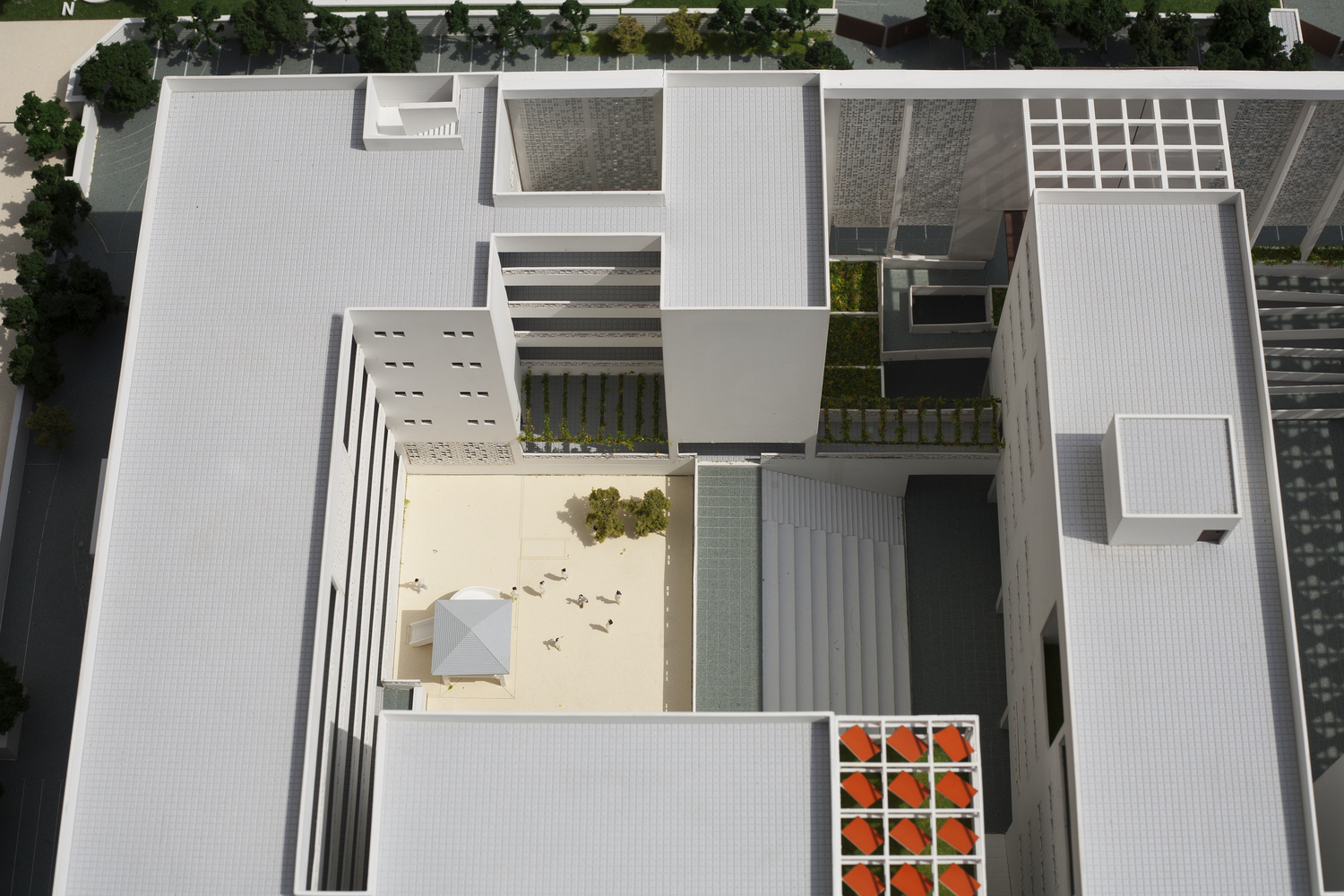 The British School  Morphogenesis-40