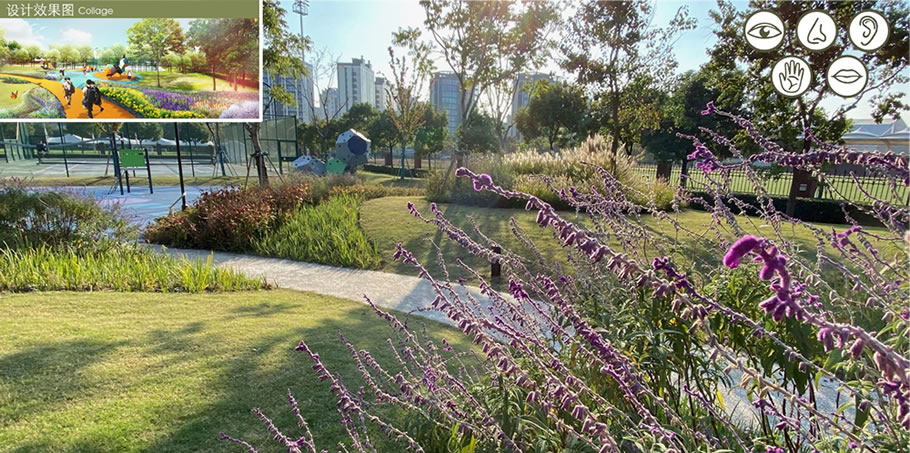 上海惠灵顿国际学校校园景观改造项目丨中国上海-21