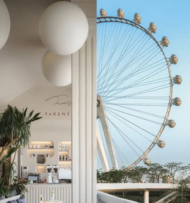 TARENTUM 萄木丨中国深圳丨RBD DESIGN BOX 瑞本设计-83