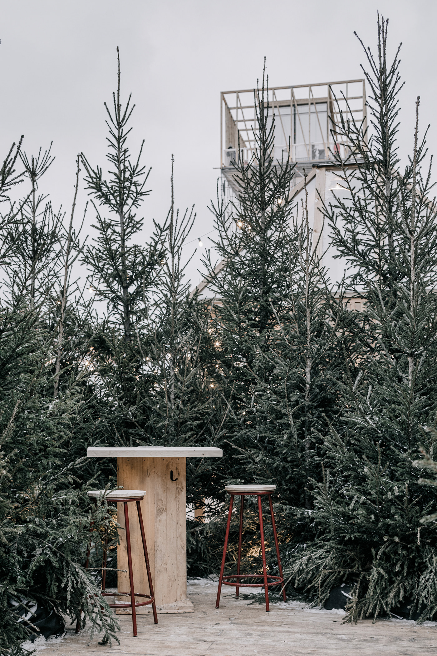 尼科尔斯基排屋丨俄罗斯圣彼得堡丨KATARSIS ab-35