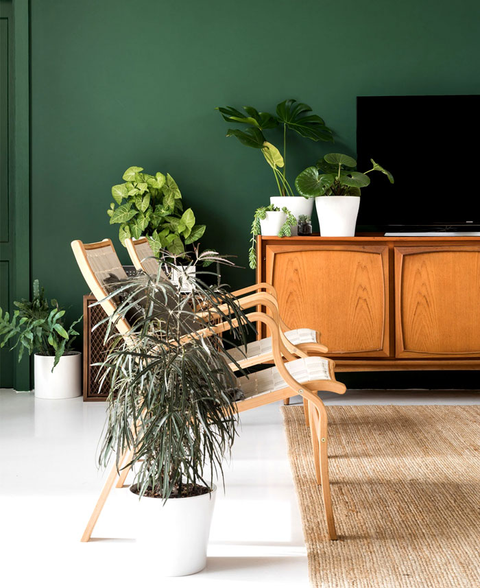 自然启发的生态屋-9