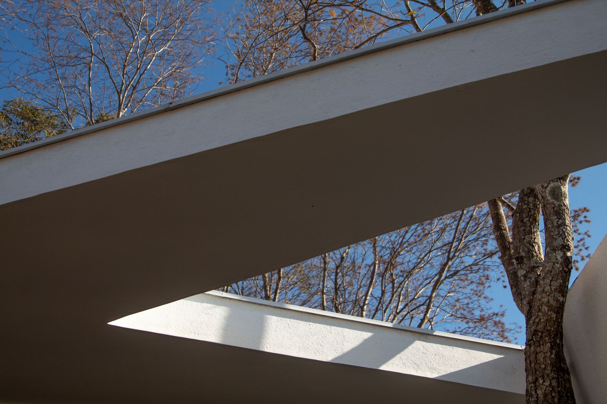 特拉豪斯丨TETRO Arquitetura-41