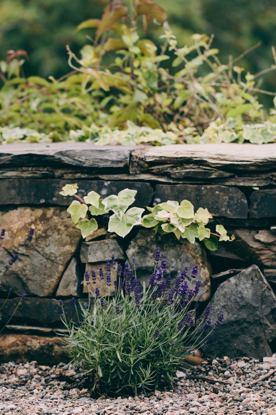 A COUNTRY HOME WITH A VIEW OF THE LAKES - PART I - Lobster and Swan-22