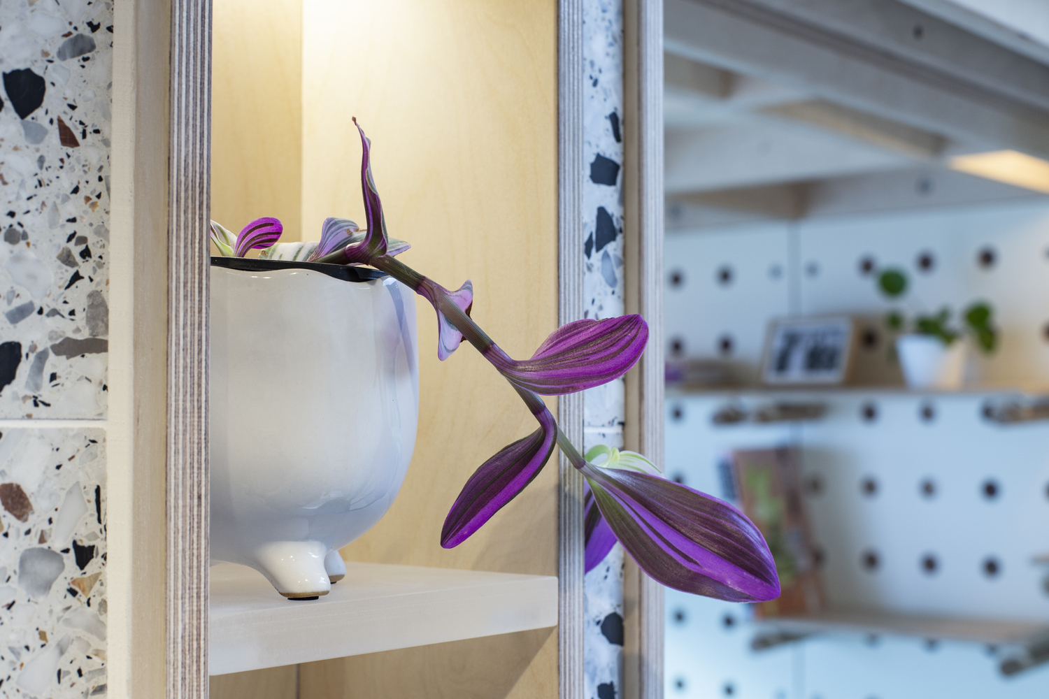 伦敦“点”家 · 多功能微型住宅丨英国伦敦丨Boano Prišmontas-47