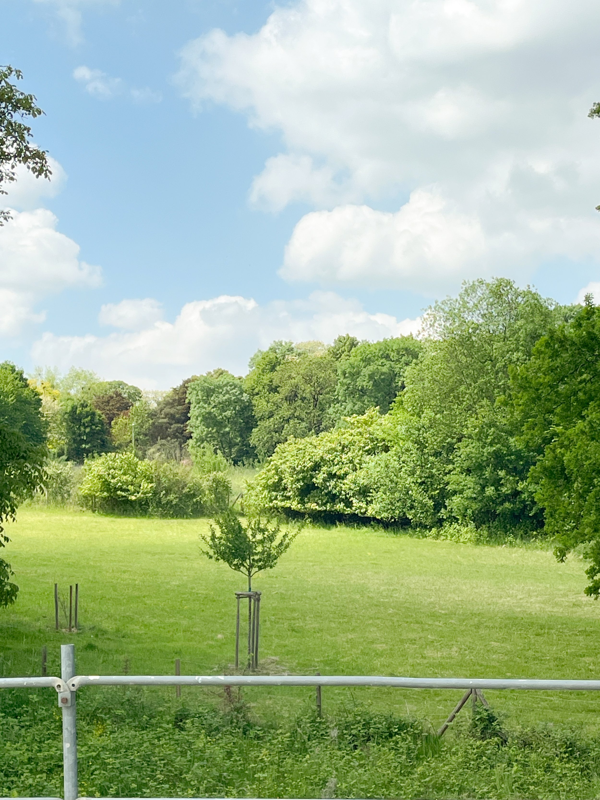 丨德国丨SOHOarchitekten-2