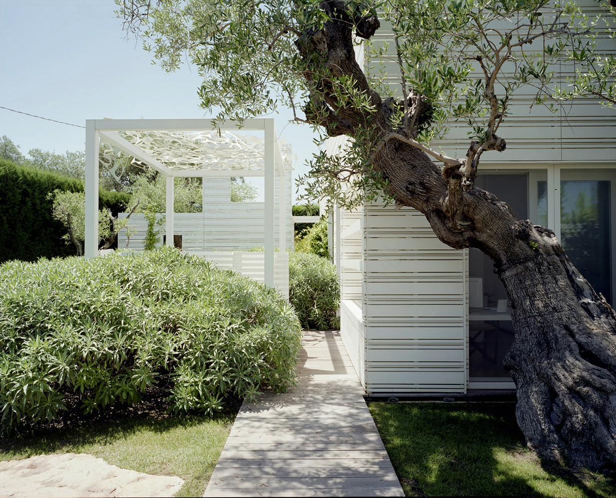 长泽英德装置艺术融入自然,打造水上花园住宅-3
