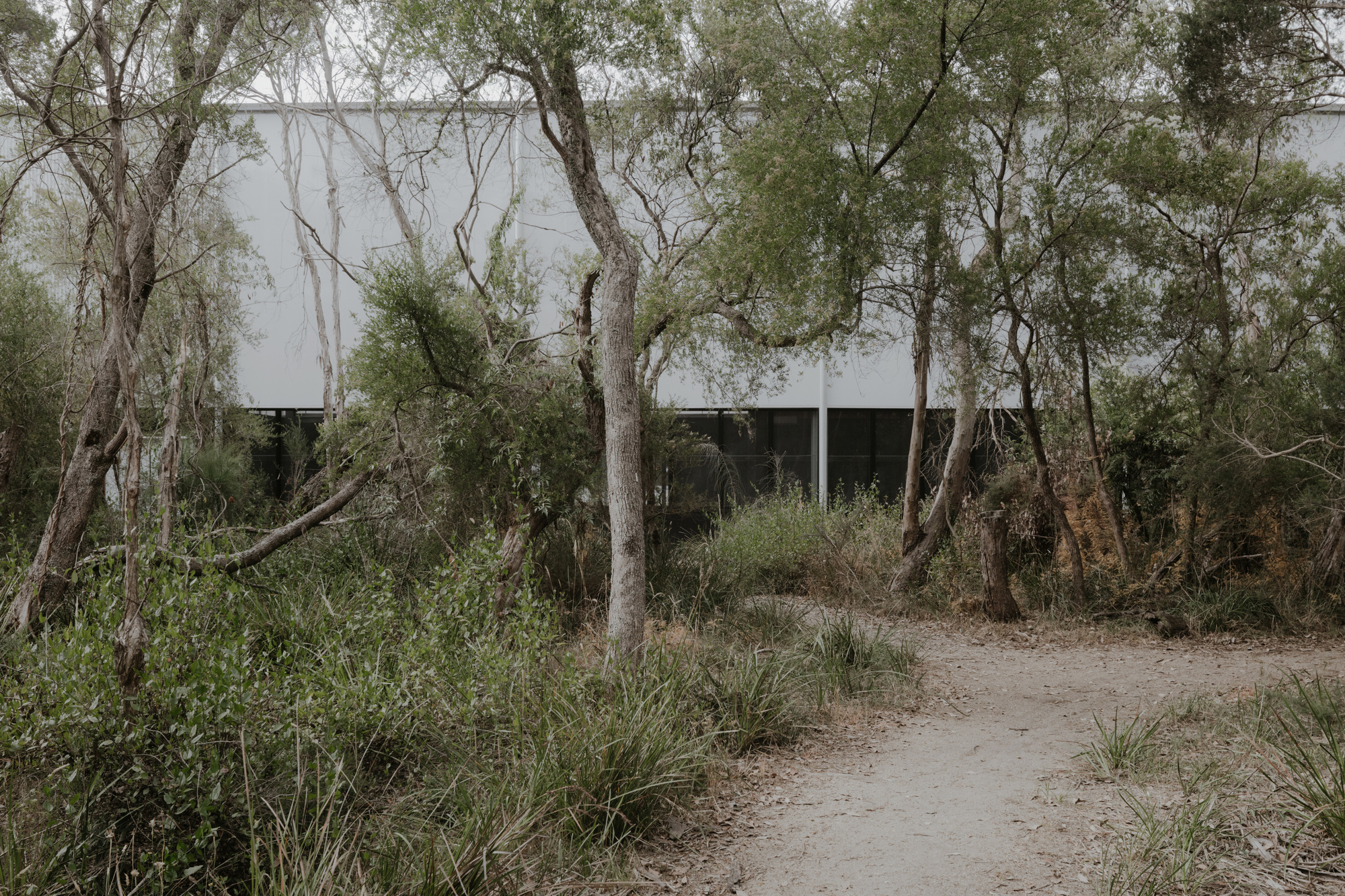 Cowes 小学体育馆丨澳大利亚丨Project 12 Architecture-11