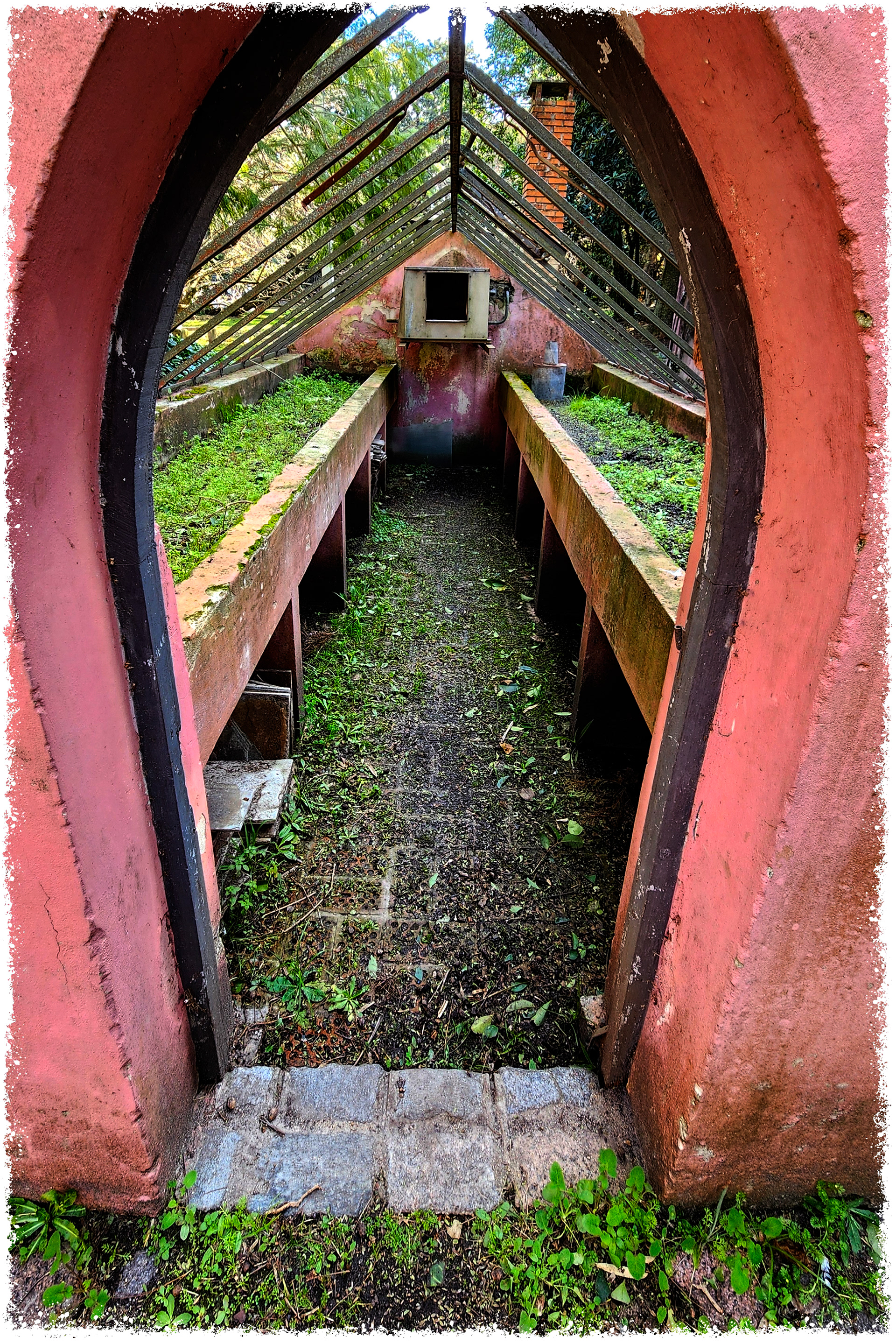 Old Greenhouse-4