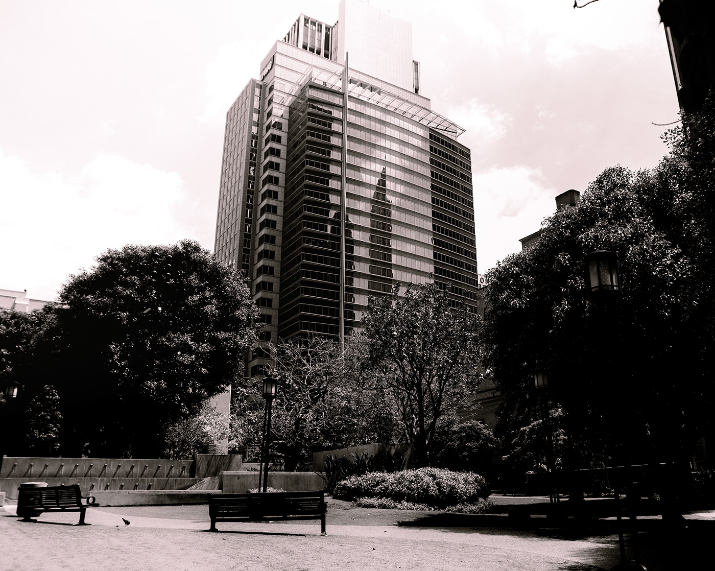 Los Angeles in Black and White-4