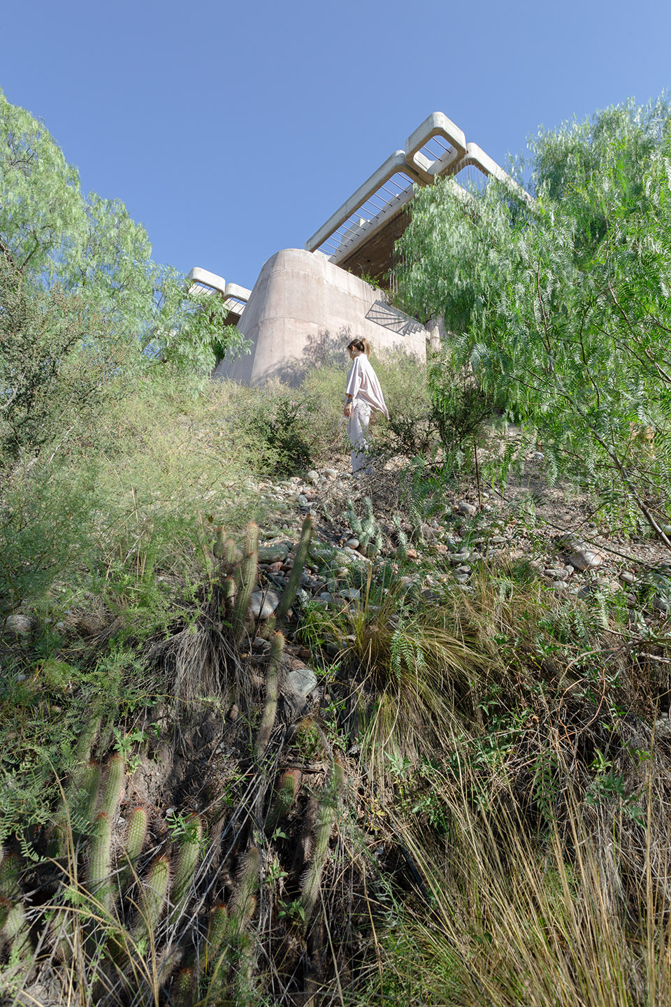 Brutal Honesty住宅丨阿根廷门多萨丨OF. STUDIO-15