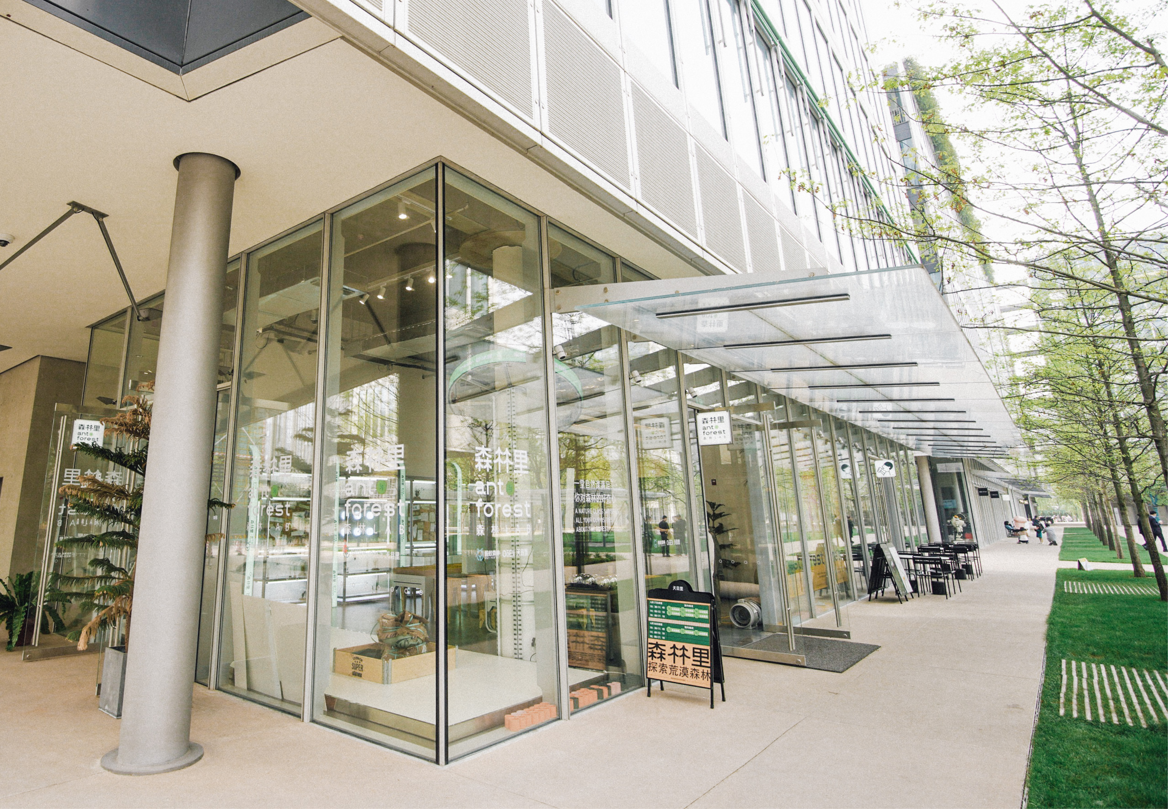 杭州天目里绿色嘉年华「森林里」丨中国杭州丨蚂蚁森林,杭州天目里,不是美术馆-26