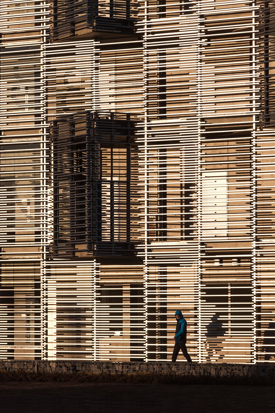 日本城西大学国际学生宿舍 / Studio SUMO and Obayashi Corporation-7