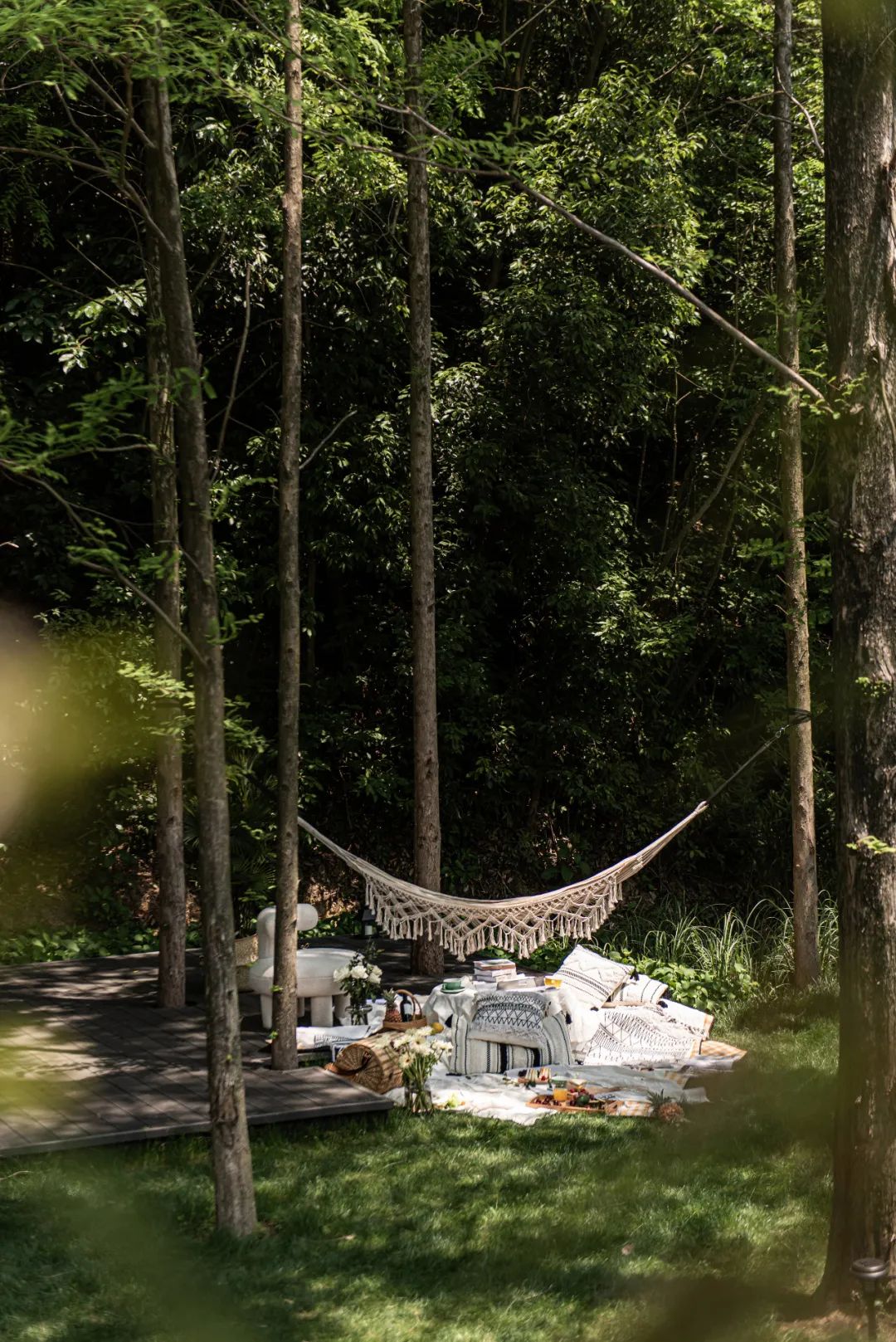 莫干山秘境杉林,尽享自然之美-47