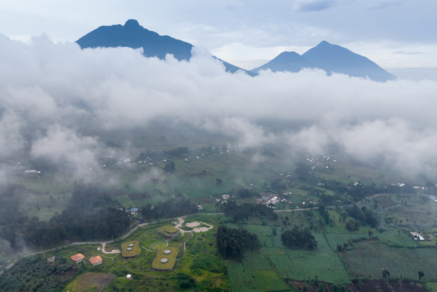 The Ellen DeGeneres Campus of the Dian Fossey Gorilla Fund | MASS Design Group-99