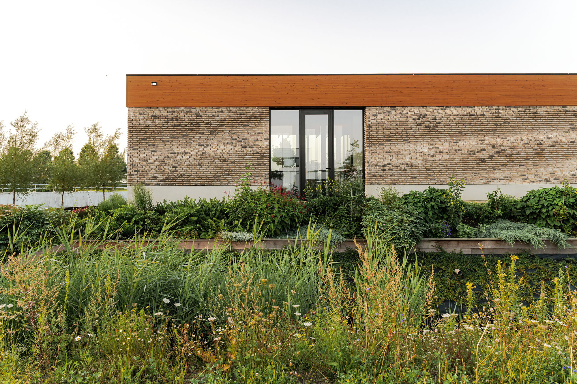 鹿特丹特普豪斯酒店丨荷兰鹿特丹丨Studio AAAN-16