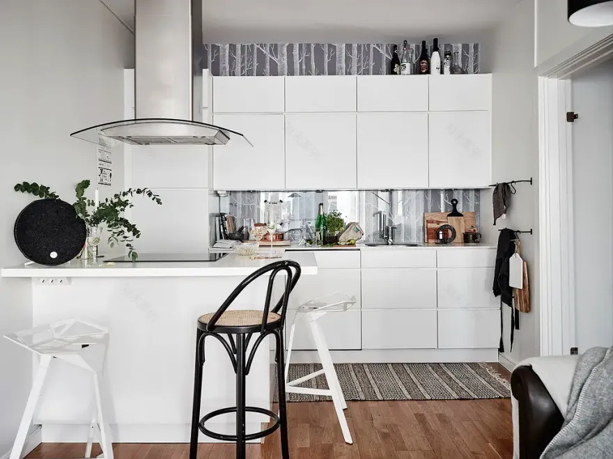 哥德堡一室一厅开放式厨房公寓设计-10