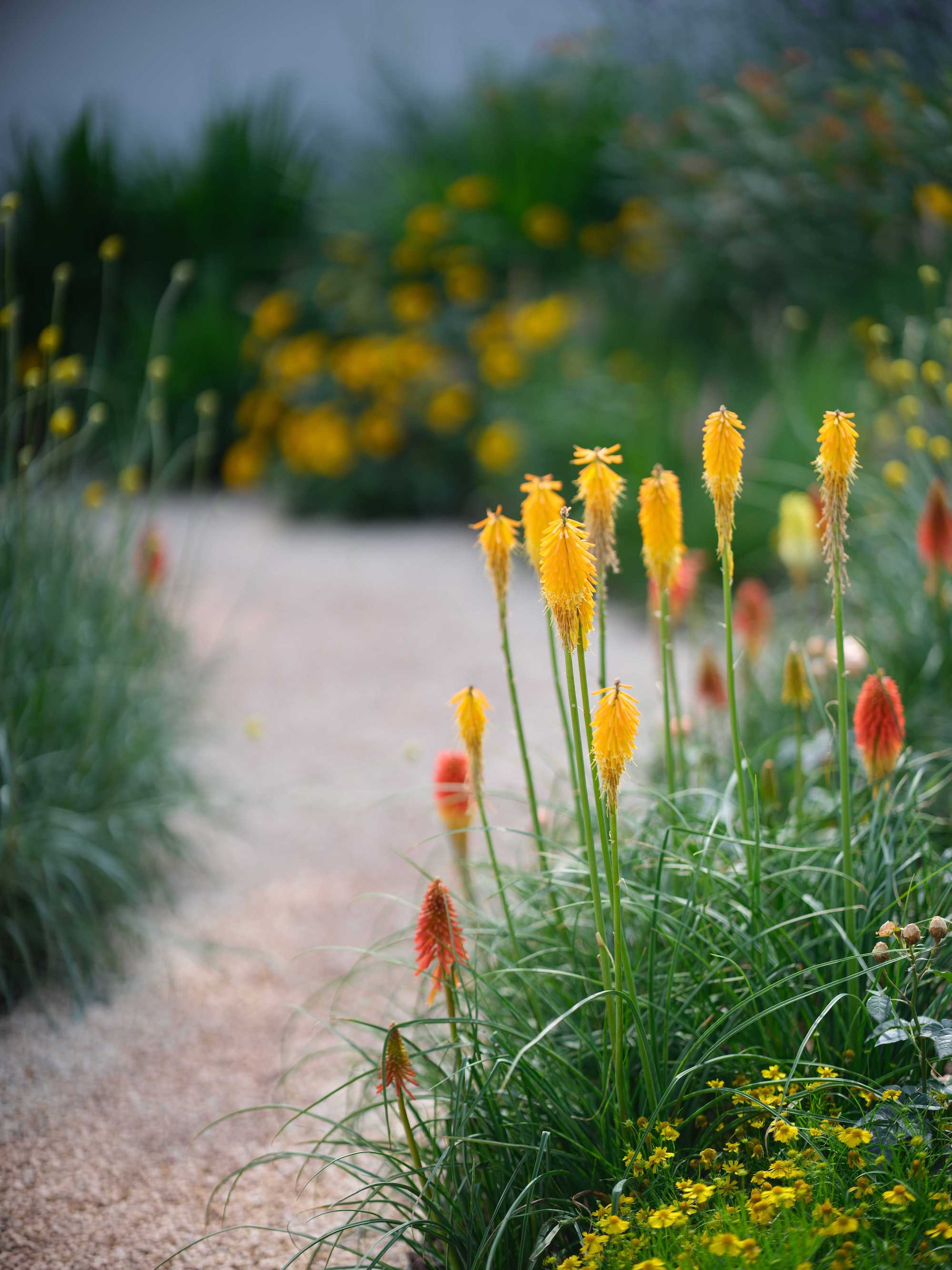 漫诗地展园丨中国成都-37