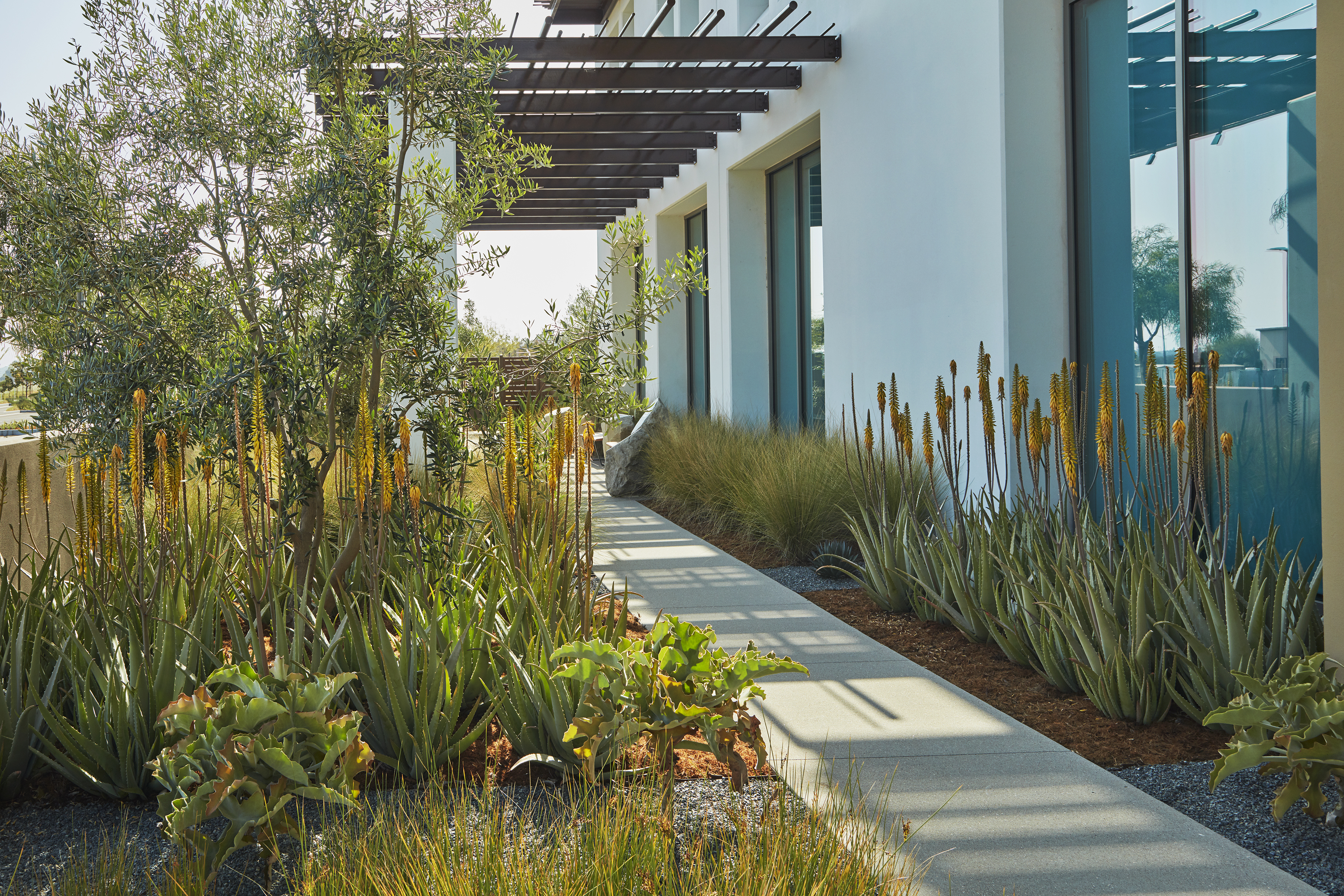 直接救济总部-9