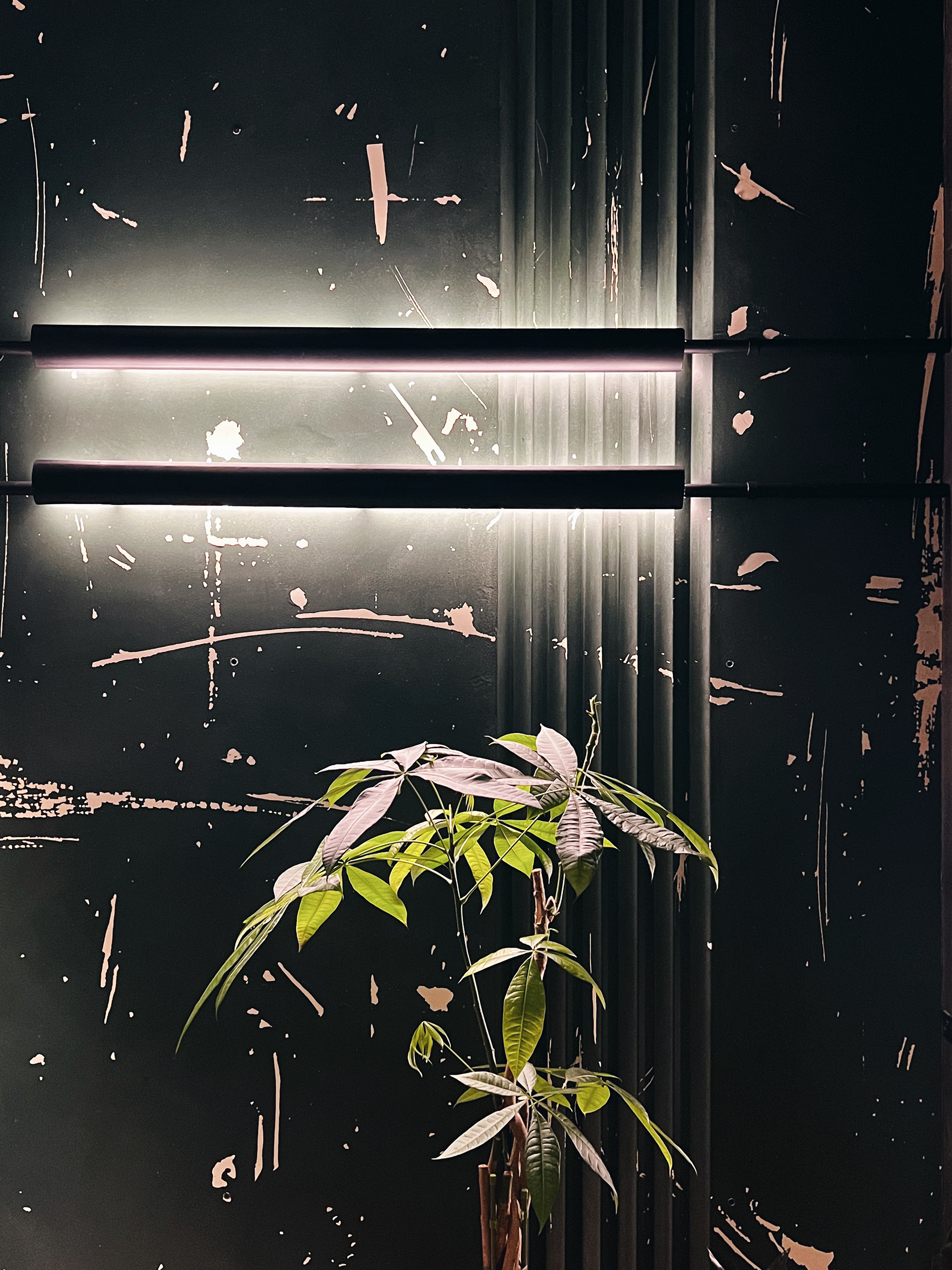 Chop BBQ餐厅丨俄罗斯摩尔曼斯克丨Anna Filippova-92