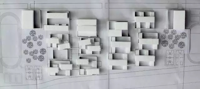 大舍 | 嘉定桃李园实验学校-2