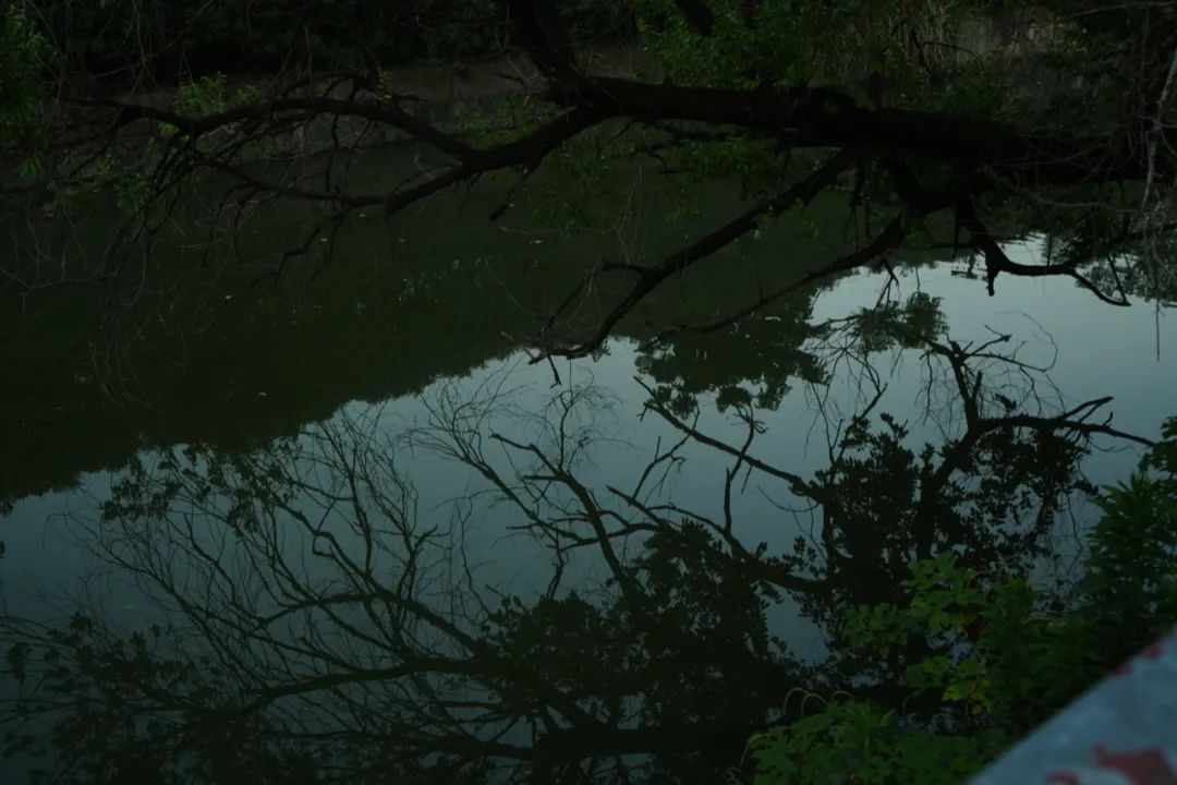 Yang Zhao  VISUAL ARTS-1