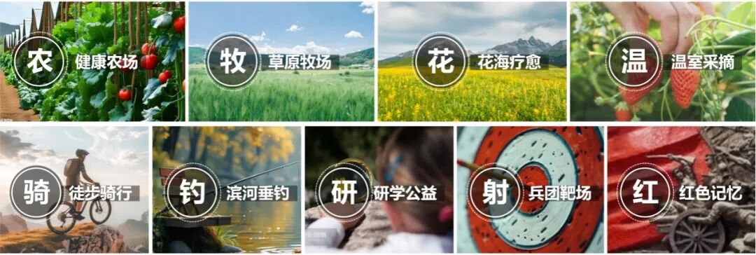 新作|绿野栖居一生之城：新疆可克达拉天鹅湖康养综合体项目-253