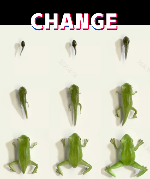 梦幻繁杂的蛙来哒乌托邦餐厅-19