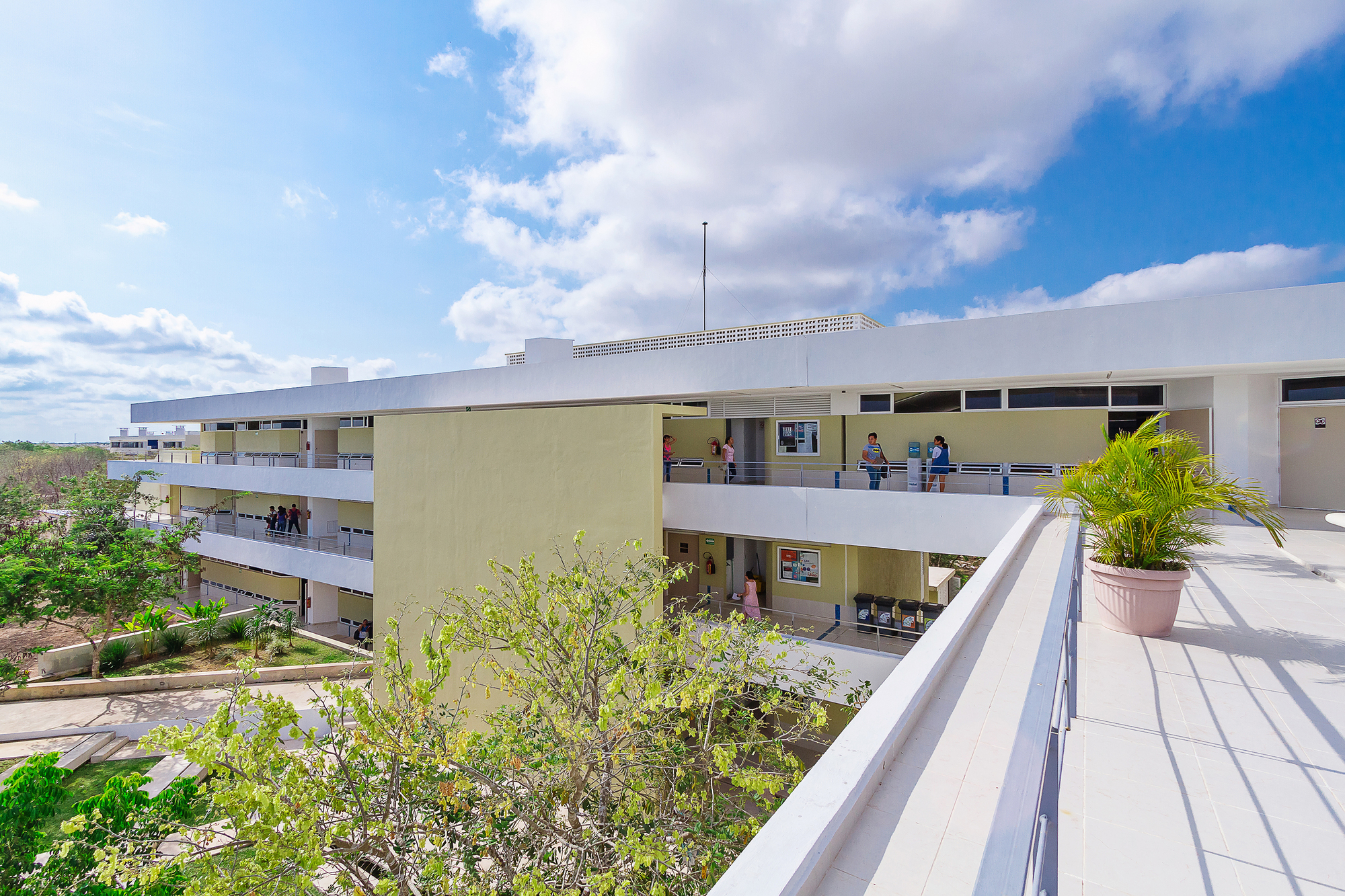 墨西哥尤卡坦自治大学教育建筑——绿色校园中的曲线魅力-23