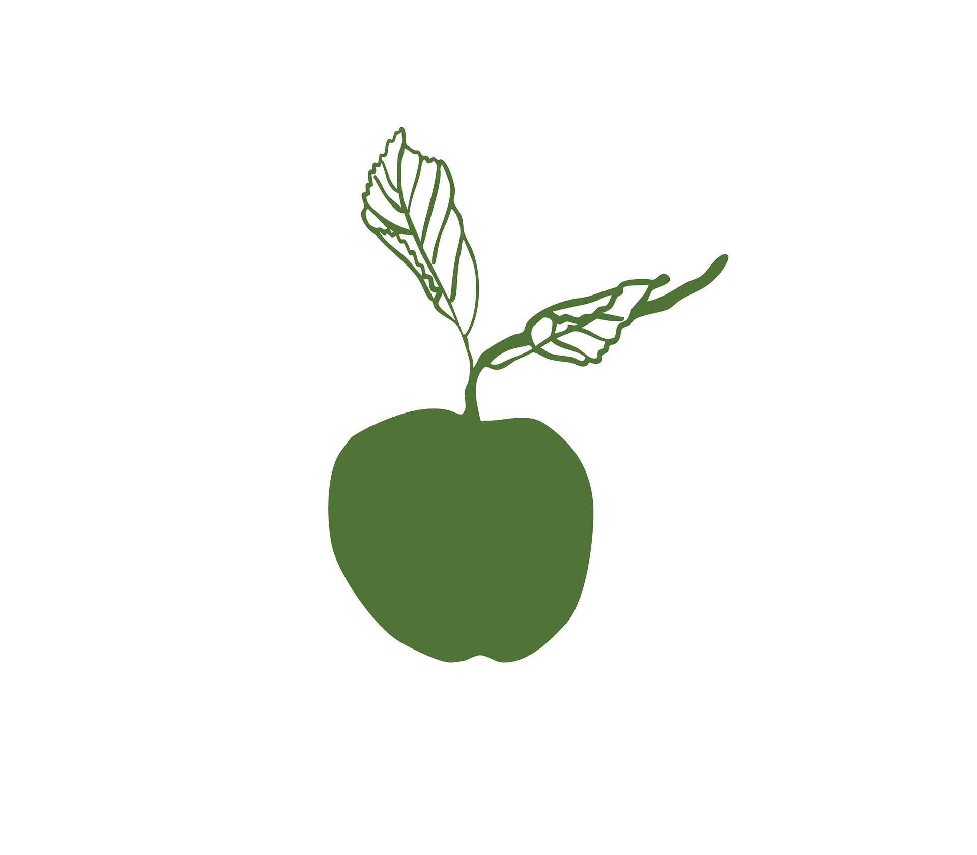 未明确提及具体名称丨希腊-65