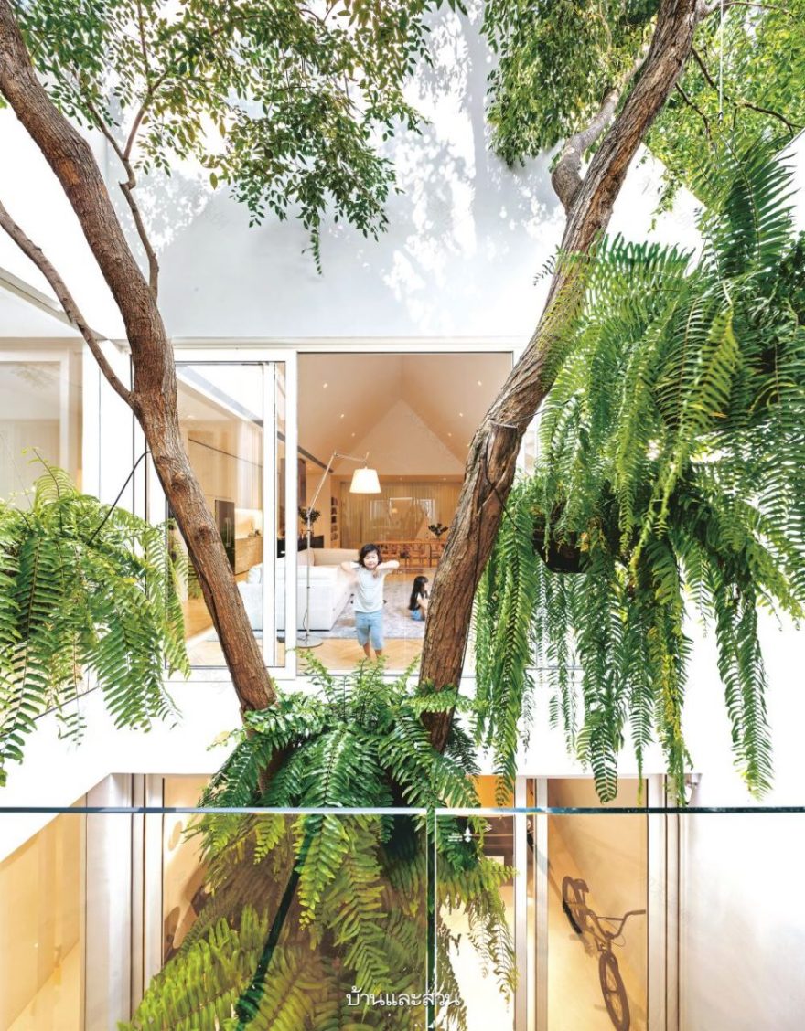 บ้านกล่องหลังคาทรงจั่ว ที่เปิดคอร์ตกลางรับพื้นที่สีเขียว - บ้านและสวน-10