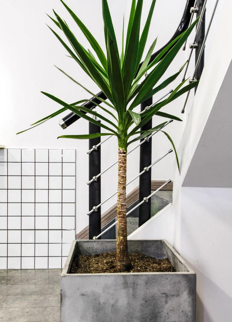 兰-Design | 科技感烫染沙龙,极简美学空间-17