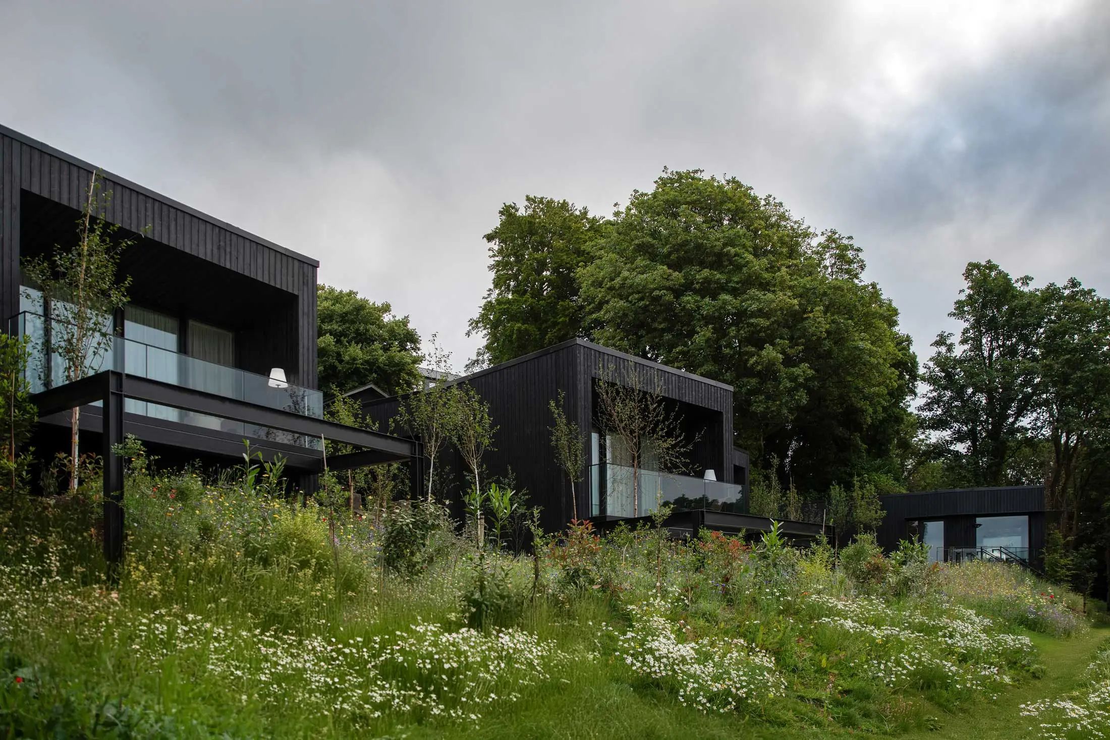 The Montenotte酒店林地套房丨爱尔兰科克丨Henry J Lyons建筑事务所,罗伊辛・拉弗蒂-1