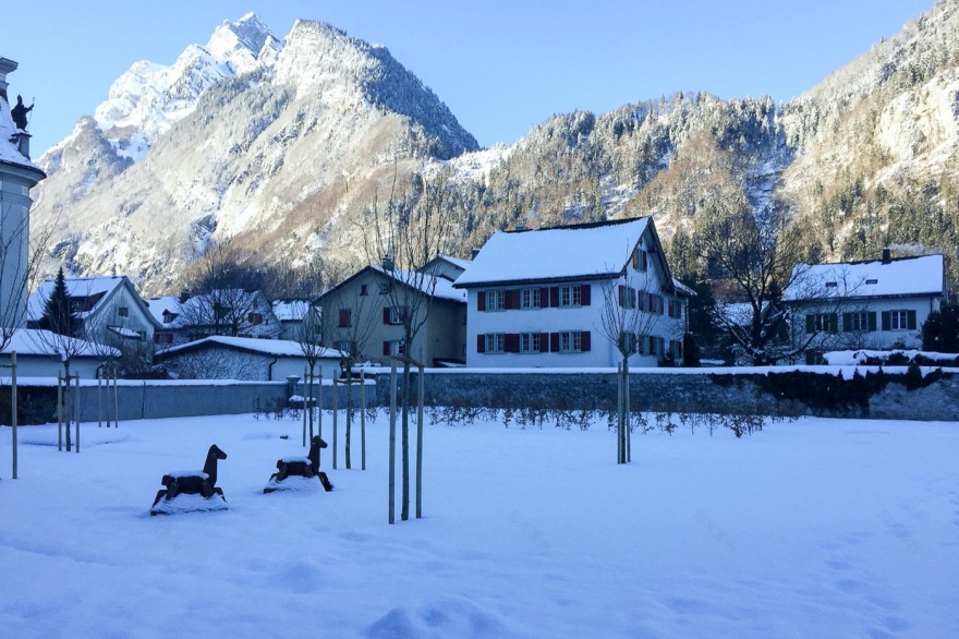 Näfels 市新住宅区设计丨瑞士-10