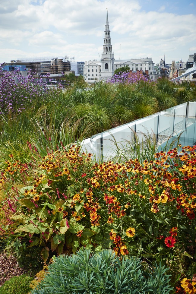 伦敦 New Ludgate 地块街道空间与屋顶花园 | 精致细节打造城市绿洲-14